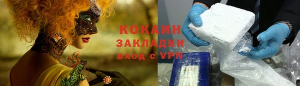 спиды Шали