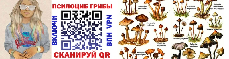Псилоцибиновые грибы мицелий  Купить где  Когалым 